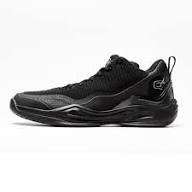 Q4 MATTE BLACK 495 LO SP